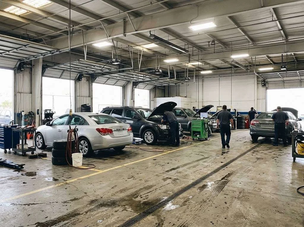 Rows of purchased vehicles on a dealership lot