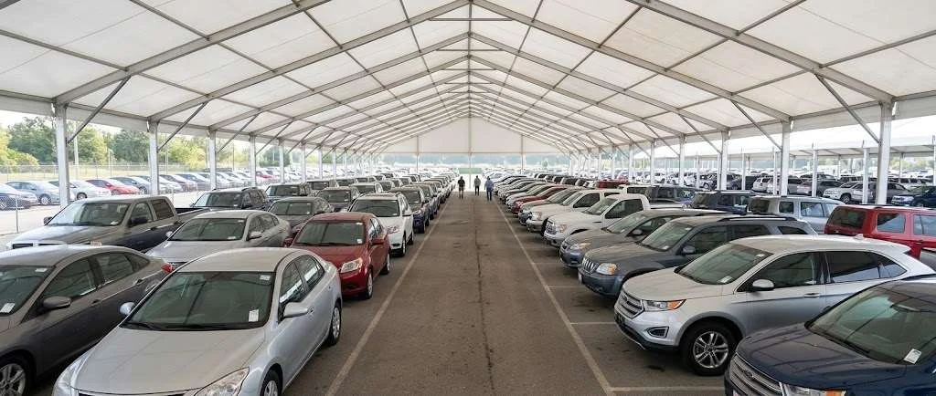 Used cars lined up under an auction tent